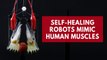 Watch self-healing robots mimic human muscles