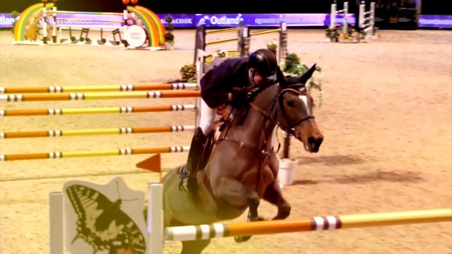 International Horse Show - Stables