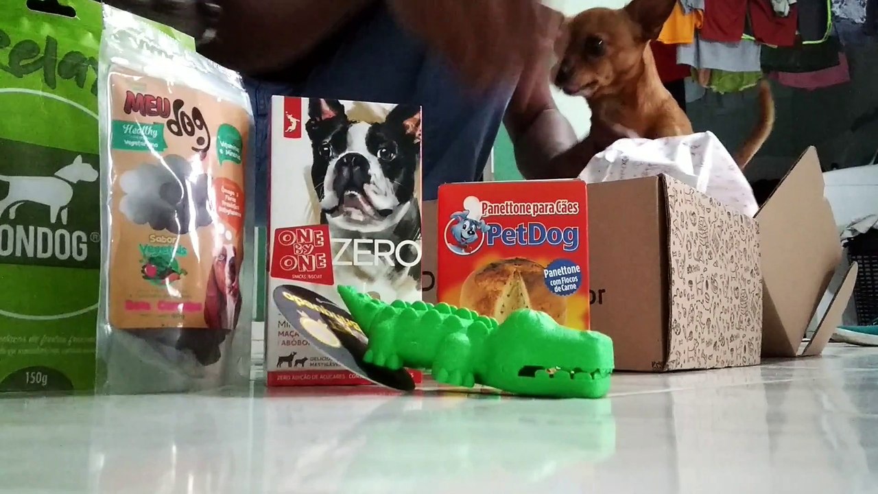 My Dogs do not Share