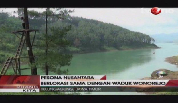 Ranu Gumbolo, Pesona Waduk di Tengah Hutan Pinus