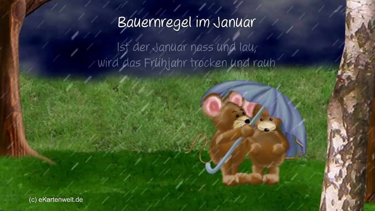 Regenwetter Grüße / Bauernregel im Januar