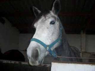 Pirouette et moi ♥_0001