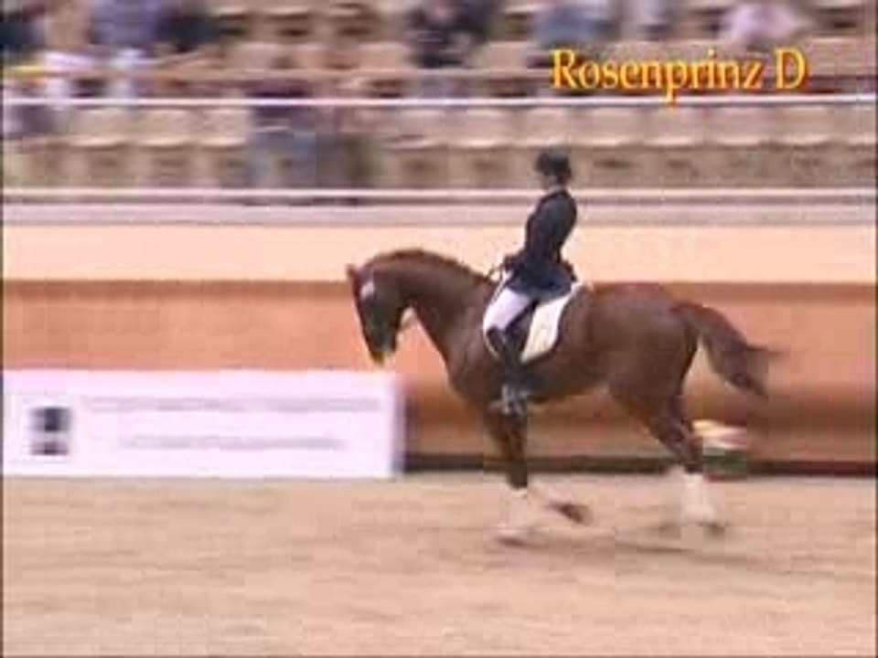Rosenprinz D