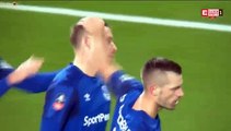 Gylfi Sigurdsson Goal HD - Liverpool	1-1	Everton 05.01.2018