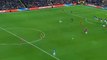 Gylfi Sigurdsson Goal HD - Liverpool 1-1 Everton 05.01.2018