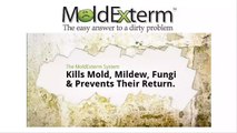 Mold Removal Wilmington DE 302-307-4355 Diamond Mold Solutions