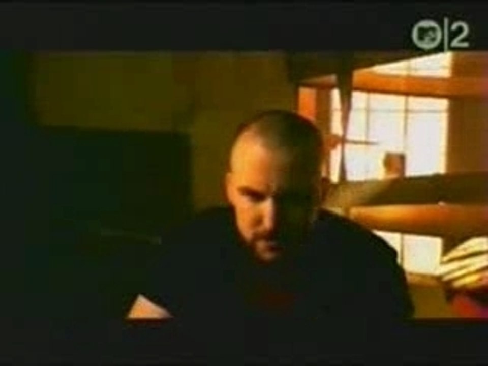Disturbed - Stupify