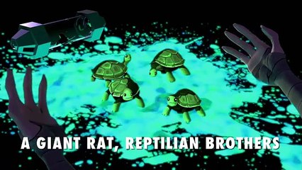 Teenage Mutant Ninja Turtles | Literal Theme Song | Nick