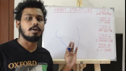 Easy way to draw heart diagram by 5 steps and labeling of heart structure