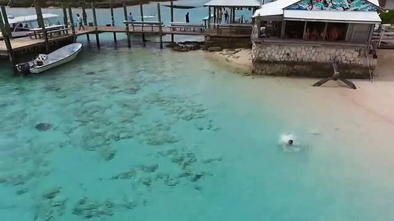 Il échappe de peu à 4 requins