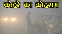 Delhi Fog: Zero Visibility, temperature dips to 6°C; Watch Video  | वनइंडिया हिंदी