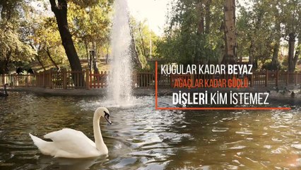 Pisi FilmProdüksiyon Adent Clinic Tunalı Tanıtım Filmi