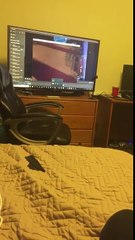 What VRchat actually looks like