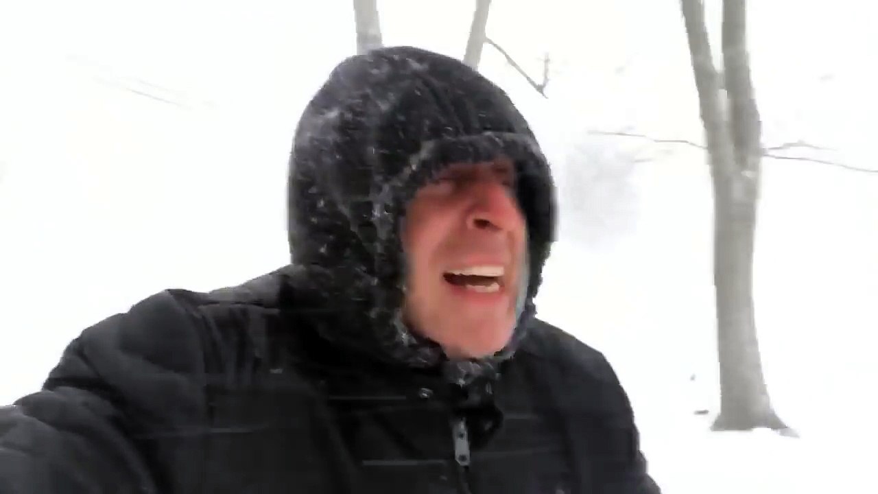 "Bomb Cyclone" | VicDibitetto.net