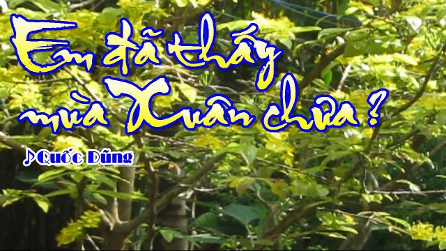 [Karaoke] EM ĐÃ THẤY MÙA XUÂN CHƯA ? - Quốc Dũng (Giọng Nam: Dm)