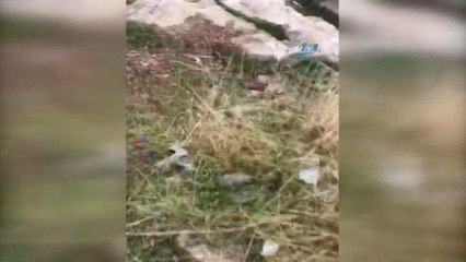 Şanlıurfa'da Tarihi Kaleden Yuvarlanarak Düşen Vatandaşın Yeni Görüntüleri Ortaya Çıktı