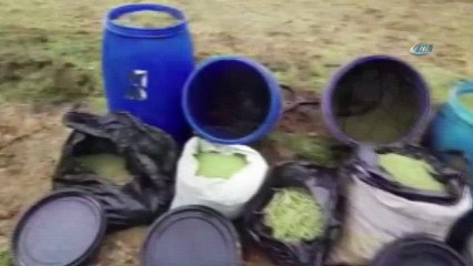 TSK'dan terör örtüğü pkk'ya büyük darbe