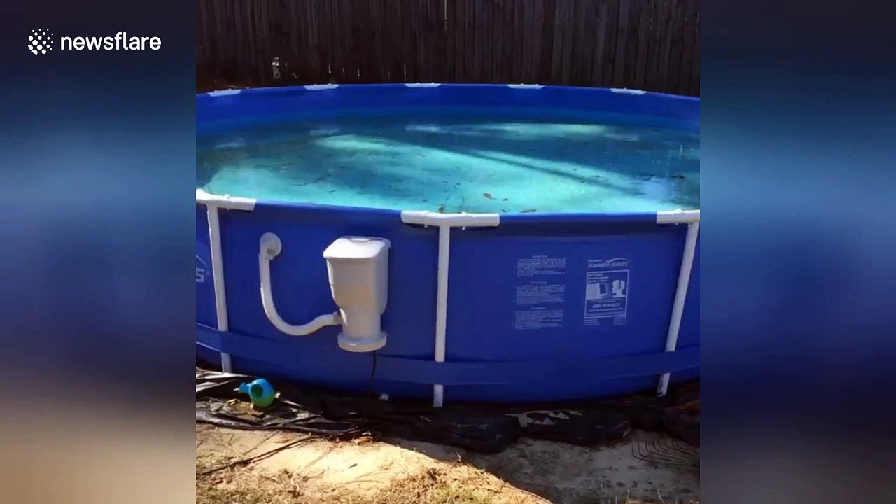Pool freezes in Pensacola, Florida