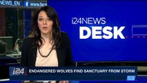 i24NEWS DESK | Endangered wolves find sanctuary from storm | Saturday, January 6th 2018