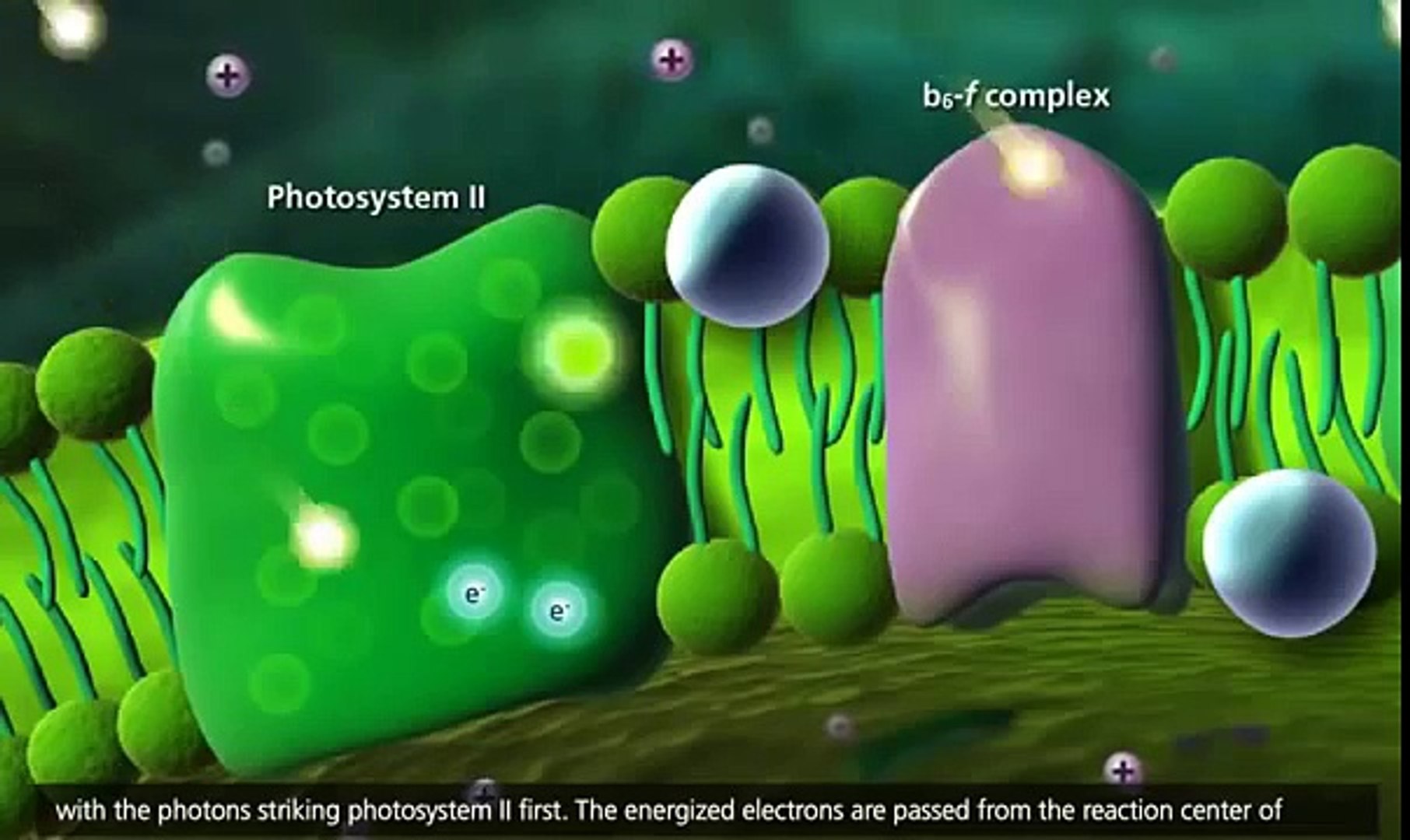 Photosynthesis - video Dailymotion