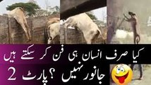 animals are funny part2 , pakistani funny clips, pakistan funny videos 2017, happy new year 2018