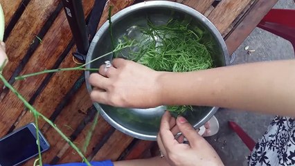 How To Make Fried Eggs With Climbing Wattle Cambodian Popular Food