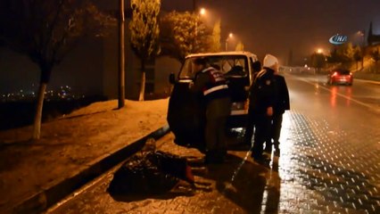 Jandarma, Yaralı Eşek Islanmasın Diye Şemsiye Tuttu