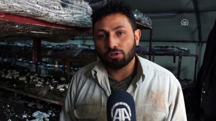 Hobi olarak başladılar talebi karşılayamıyorlar - ANKARA