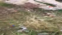 Şanlıurfa-Ölüme Götüren Zıplayarak Atlayış Pozu Kamerada