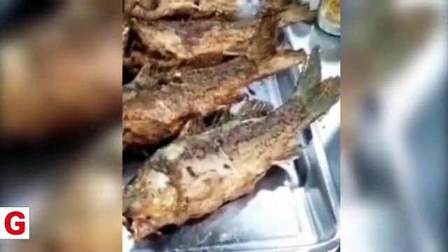 Balık sipariş etti... Hayatının şokunu yaşadı