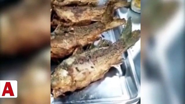 Balık sipariş etti... Hayatının şokunu yaşadı