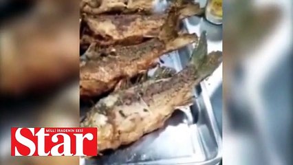 Balık sipariş etti... Hayatının şokunu yaşadı