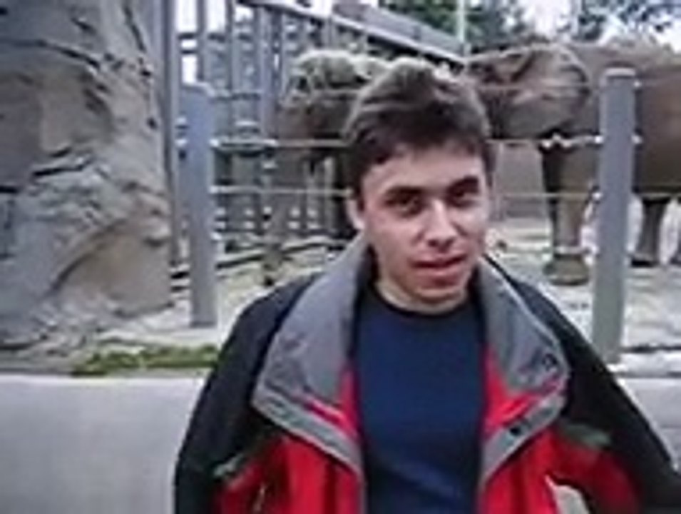 Me at the zoo - The very first video on YouTube by co founder Jawed ...