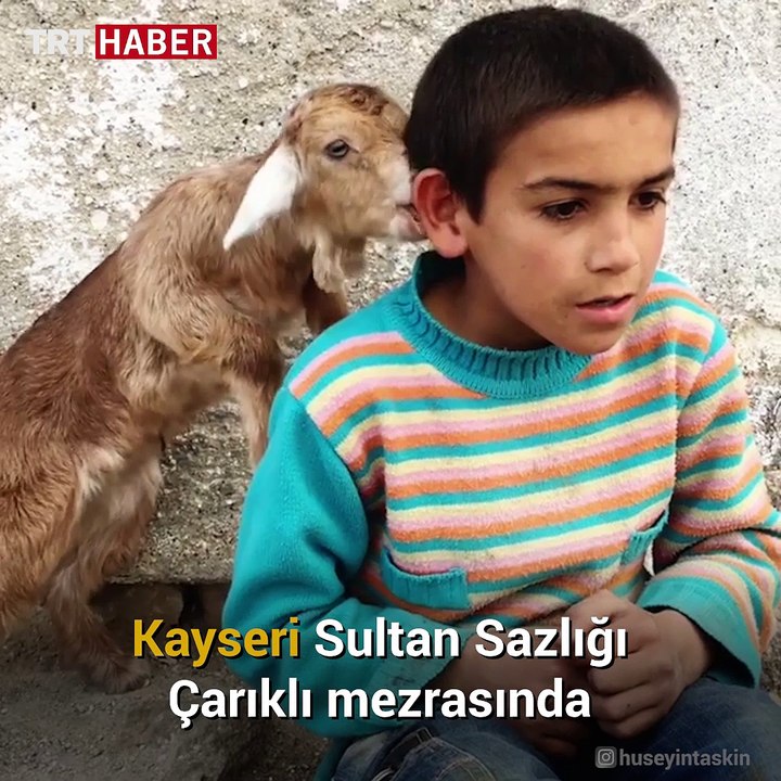 Dilaver ve küçük keçisi