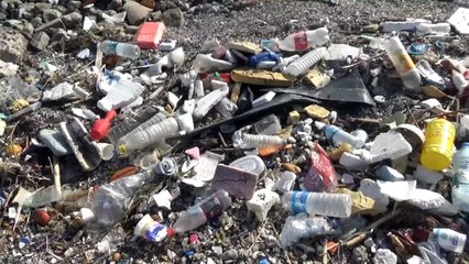 İzmir'deki sahil kirliliği vatandaşı isyan ettirdi