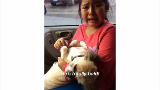 Cette fille est en pleurs en voyant la coupe de son nouveau chien