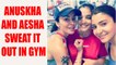 Virat Kohli and Shikhar Dhawan's wives Anushka and Aesha sweat it out in gym together |Oneindia News