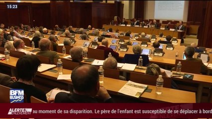 Le saviez-vous: la fôret pèse 60 milliards d'euros et emploi 400 mille personnes - 06/01