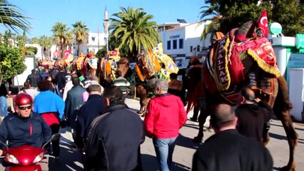 Bodrum sokaklarında develer gezdirildi - MUĞLA
