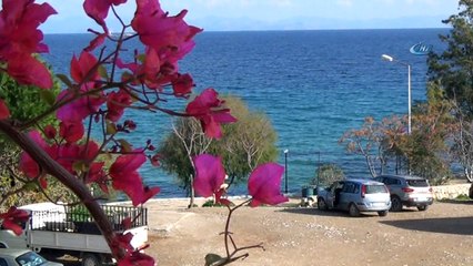 Ocak ayında göle girip şifa arıyorlar