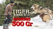 Tiger Zinda Hai in 300 Crore club | Becomes Highest Grosser