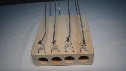 Un piège à souris vieux de 427 ans