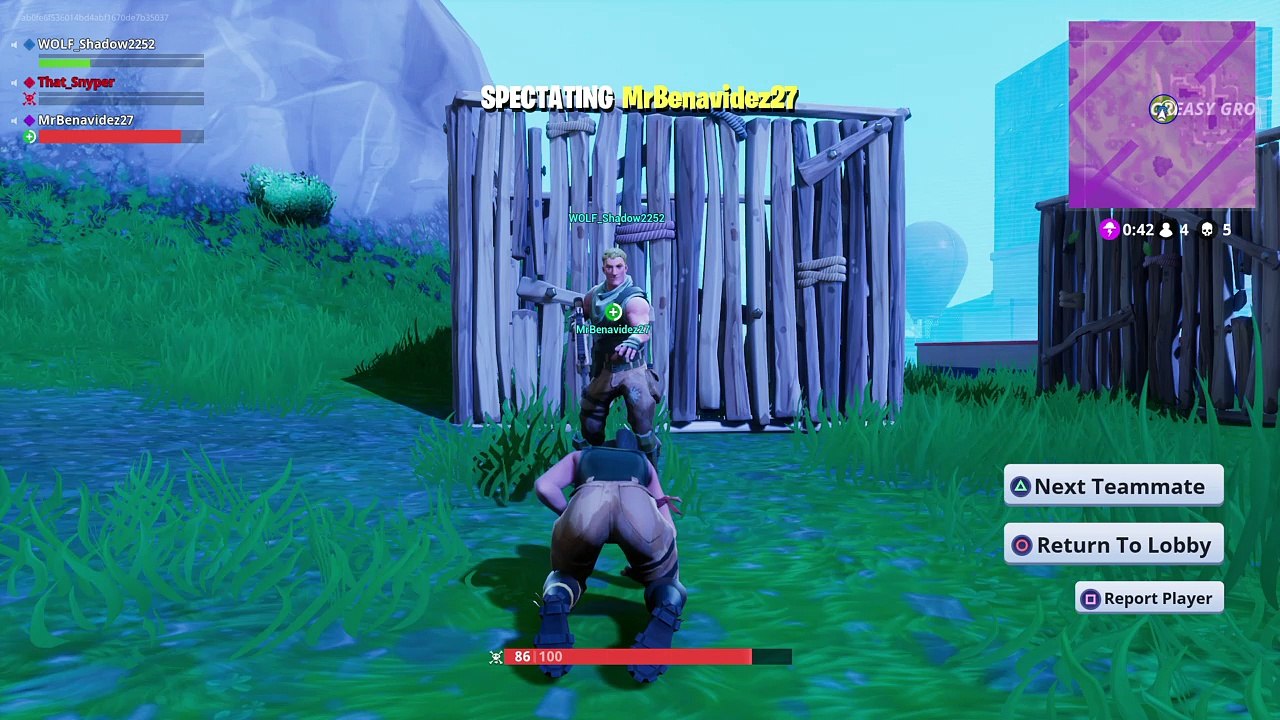Fortnite_20171202183152