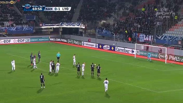Robic A. (Penalty) Goal HD - Nancy	1-1	Lyon 06.01.2018