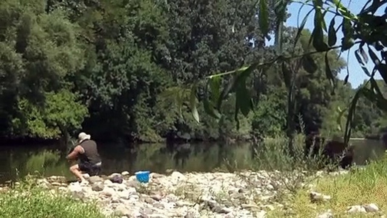 funny with a bear