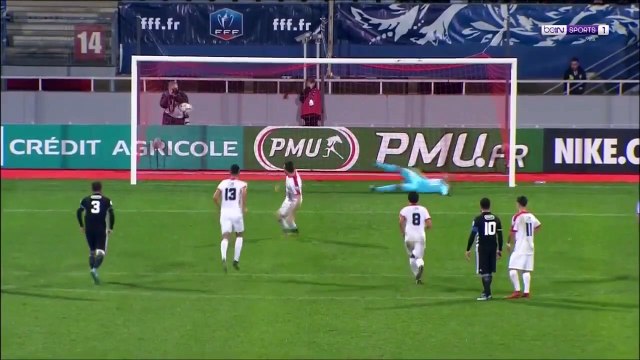 Les buts AS Nancy 2-3 Lyon résumé vidéo ASNL - OL Coupe de France
