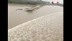 Le plus grand mascaret du monde sur la rivières Qiantang en Chine : vague de marée