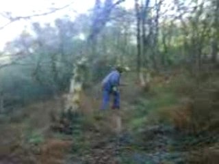 Moi ds la foret nimp