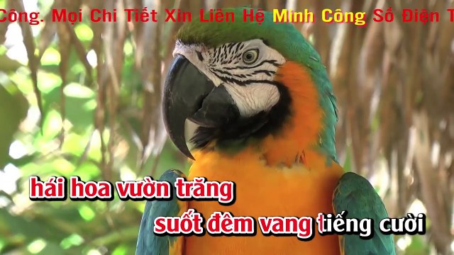 Karaoke - Liên Khúc Nhạc Sống Trữ Tình Cha Cha Cha Vol 4 Tuyển Chọn Đặc Sắc Hay Nhất 2018