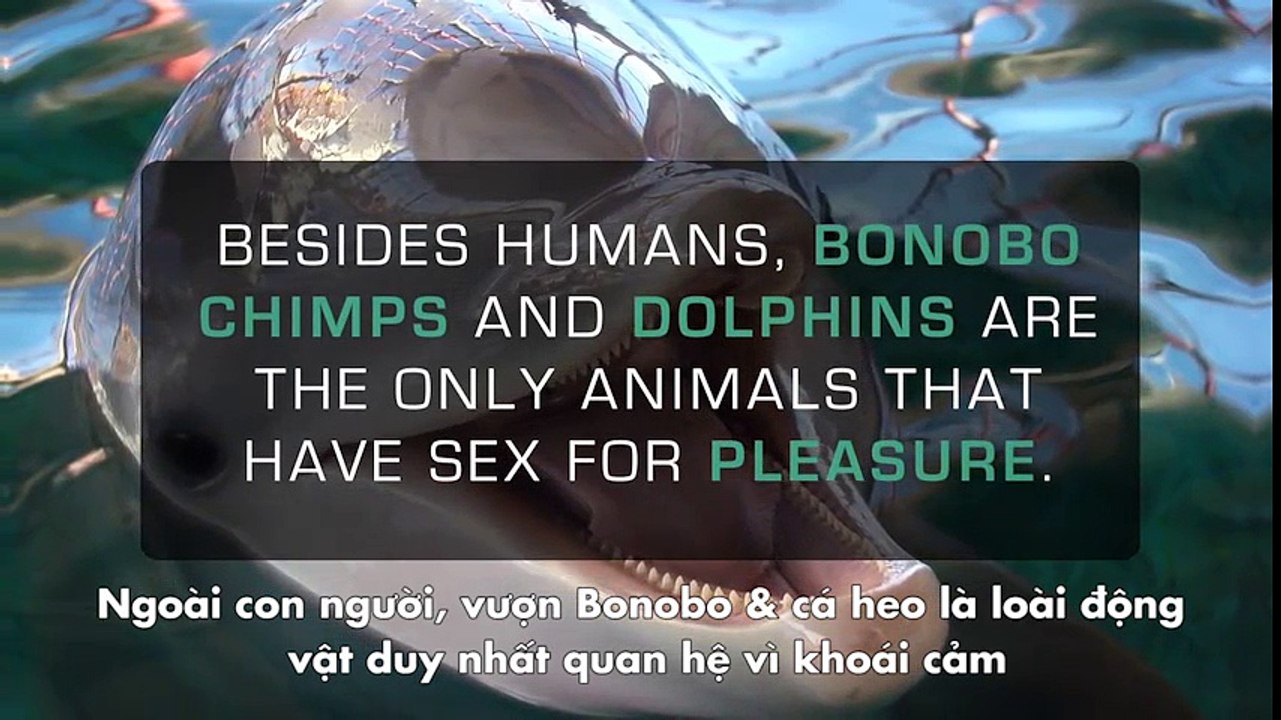 16 Điều thú vị có thể bạn chưa biết về "chuyện ấy"